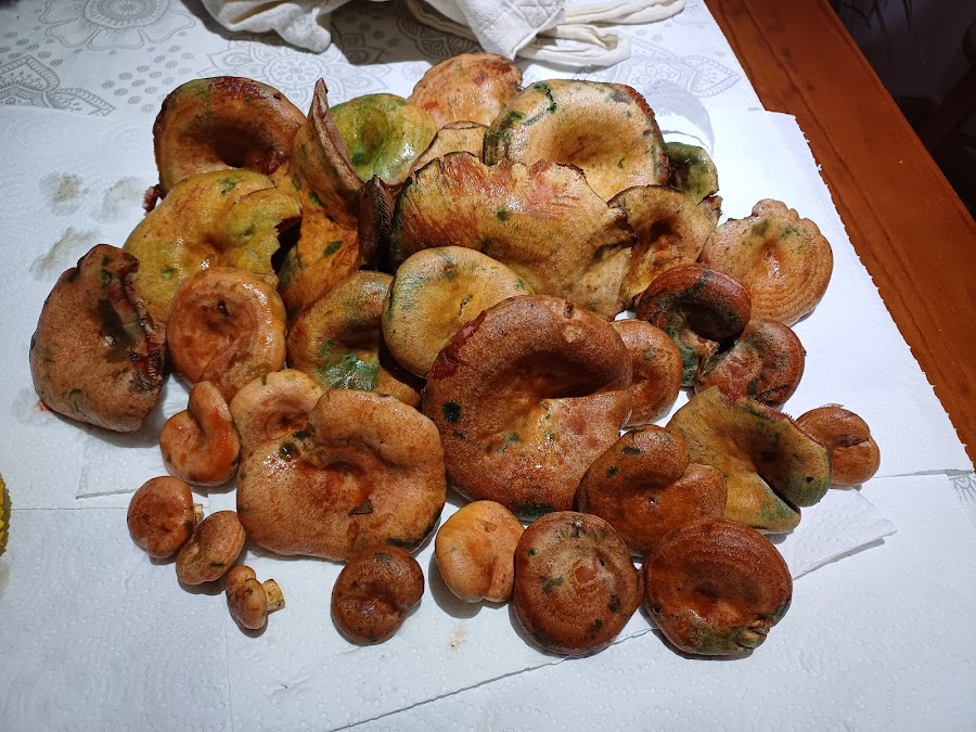 Parrilla San Antonio