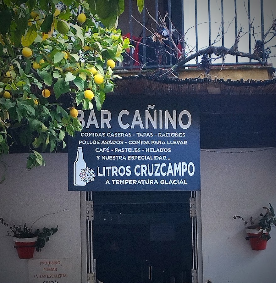Bar El Cañino
