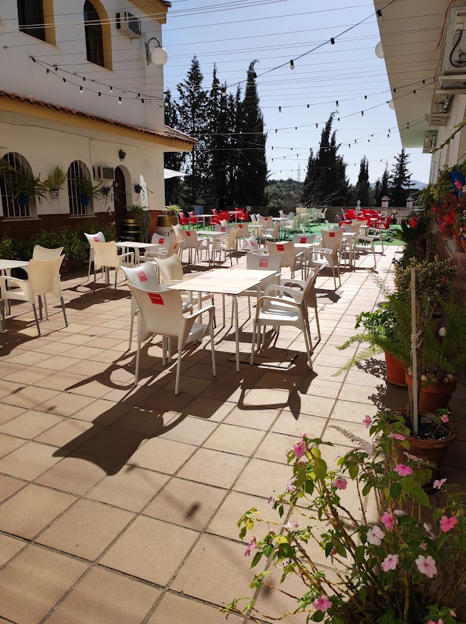 Mesón Fuente Del Pino