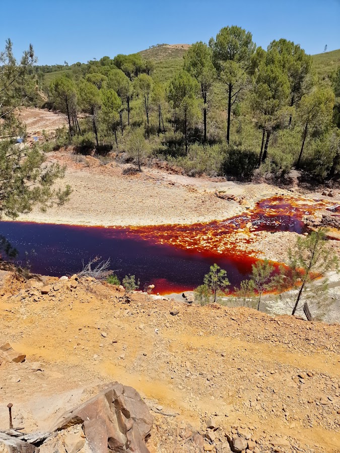 Tren Minas de Rio Tinto