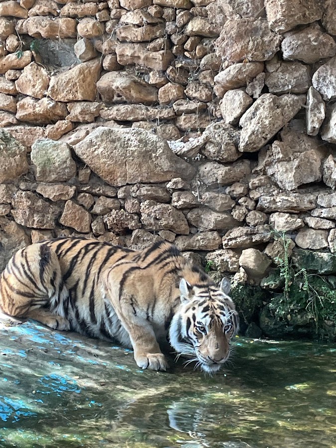 Zoo de Castellar